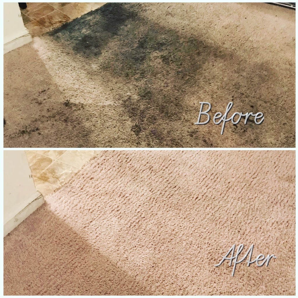 CoreWay RS Carpet Cleaning | 29 Ridgeview Ave, Berlin, NJ 08009 | Phone: (609) 458-9294