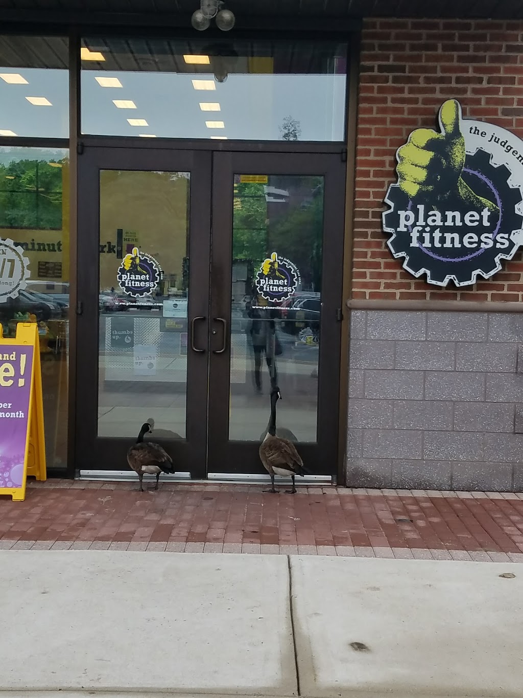 Planet Fitness | 1619 The Fairway, Jenkintown, PA 19046 | Phone: (215) 277-1265