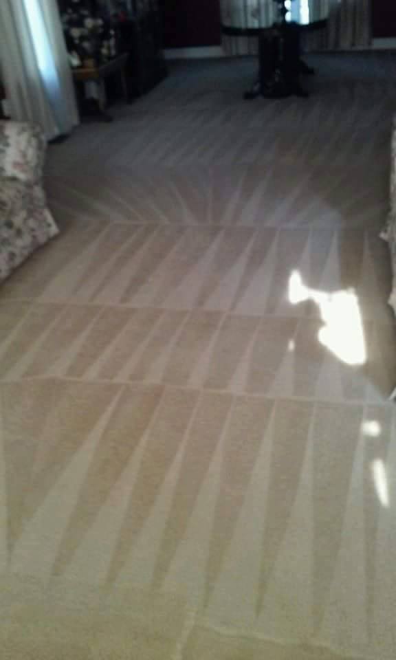 DC Carpet Care LLC of Bensalem and Lower Bucks | 3370 Progress Dr unit k, Bensalem, PA 19020 | Phone: (215) 901-3313