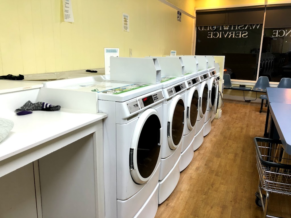 Daisy Laundromat | 3115 West Chester Pike, Newtown Square, PA 19073 | Phone: (610) 356-9185