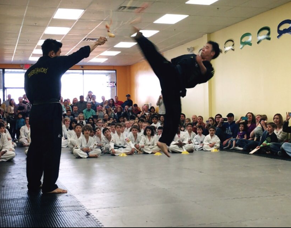 Master Lees Tiger Kicks Martial Arts | 317 E Street Rd, Warminster, PA 18974 | Phone: (215) 444-0899