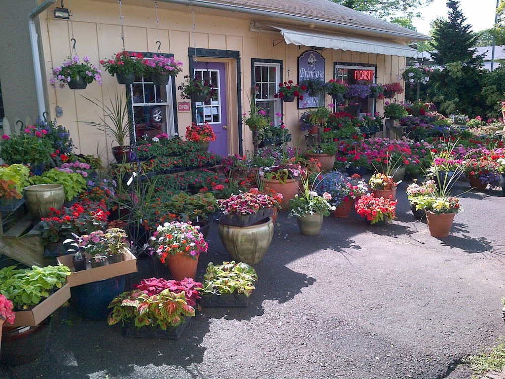 Primrose Extraordinary Flowers | 1525 Limekiln Pike, Dresher, PA 19025 | Phone: (215) 646-4690