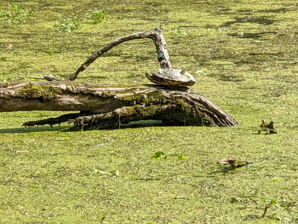 Robbins Park Environmental Education Center | 1419 E Butler Pike, Ambler, PA 19002 | Phone: (215) 641-0921