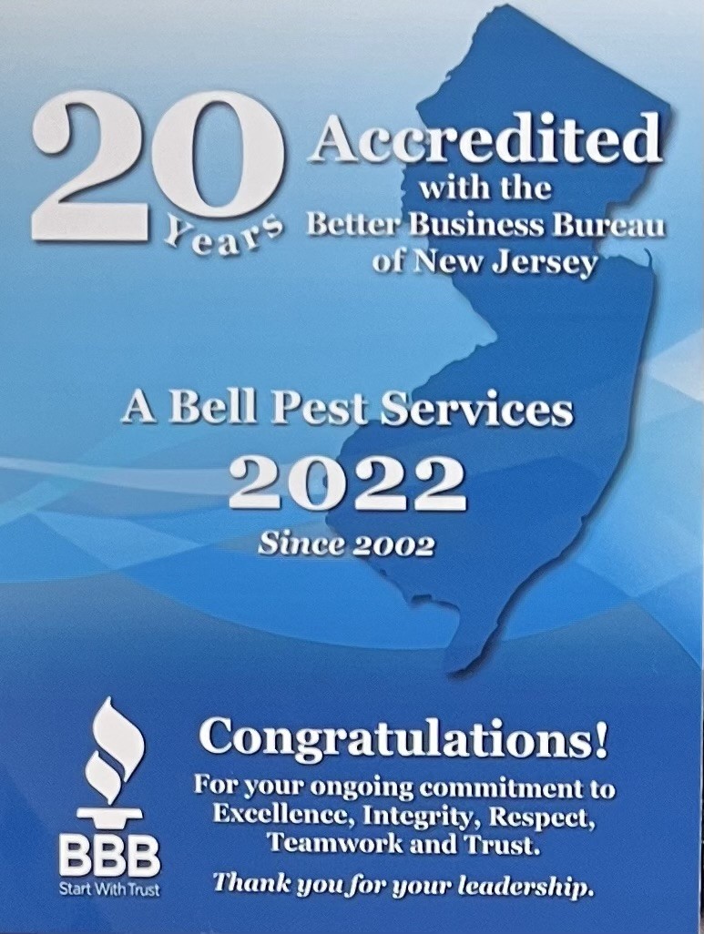 A Bell Pest Services | 100 Dobbs Ln #100, Cherry Hill, NJ 08034 | Phone: (856) 505-1500