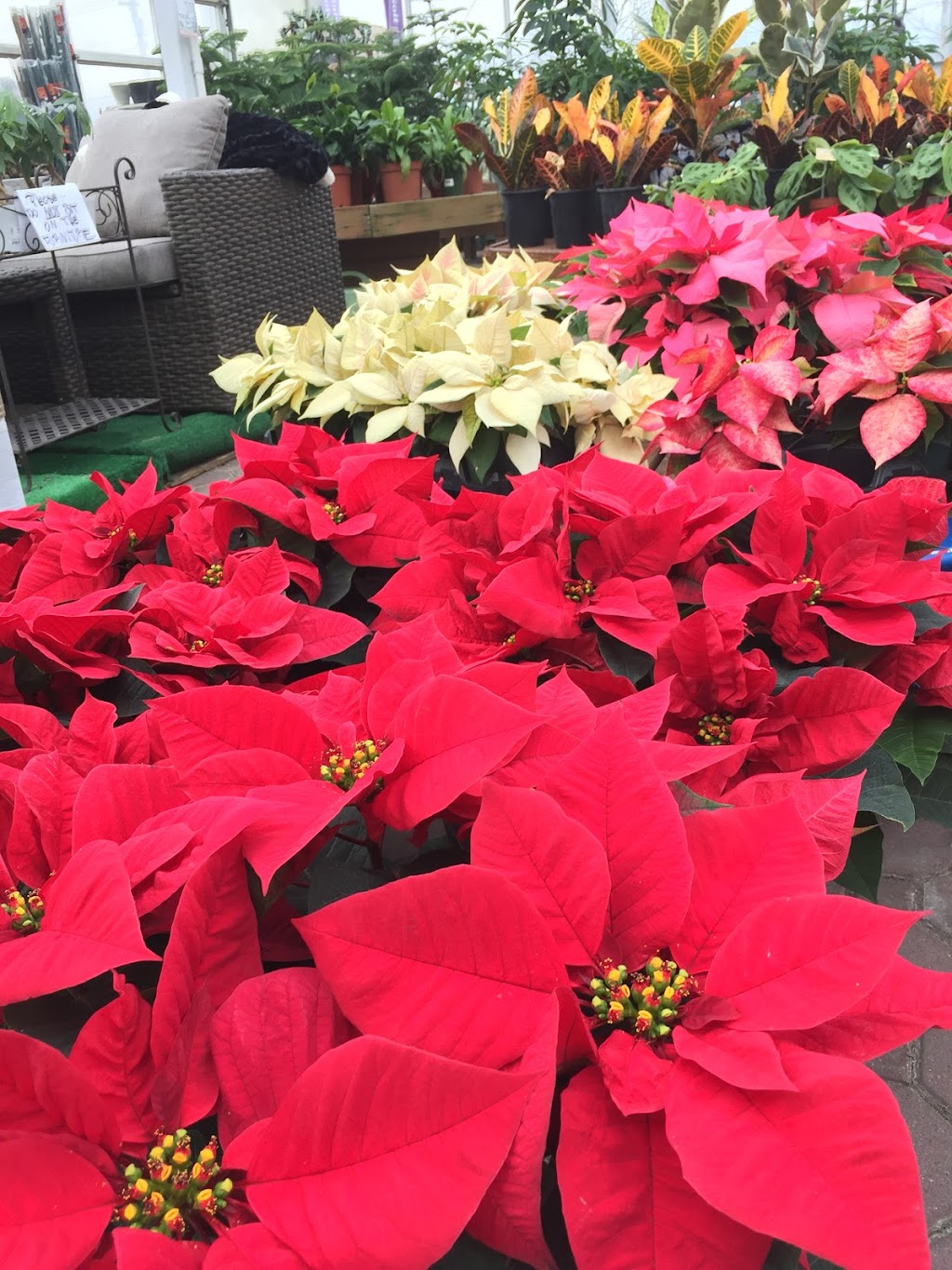 Bloomers Home & Garden Center | 344 Hurffville - Cross Keys Rd, Sewell, NJ 08080 | Phone: (856) 874-8730