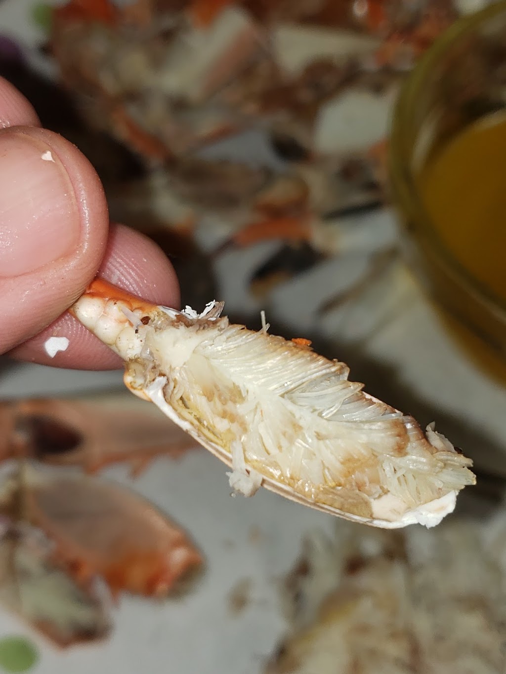 Chesapeake Crab Co | 3737 Foulk Rd, Garnet Valley, PA 19060 | Phone: (610) 494-4003