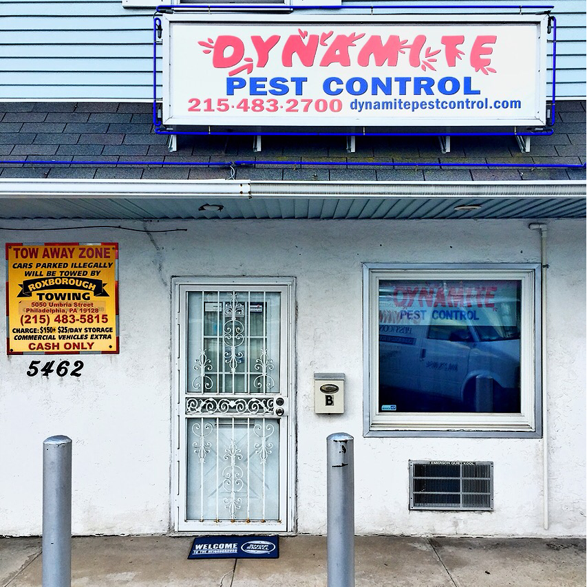 Dynamite Pest Control | 5462 Ridge Ave, Philadelphia, PA 19128 | Phone: (215) 483-2700