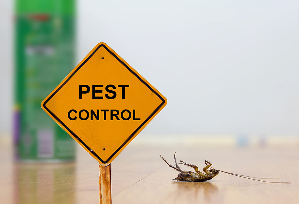 Township Pest Control | 237 Snapdragon St, Warrington, PA 18976 | Phone: (215) 416-0240