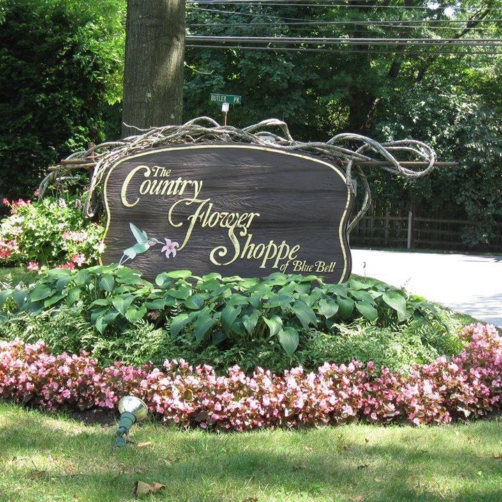 Country Flower Shoppe | 21 Norristown Rd, Blue Bell, PA 19422 | Phone: (215) 643-2438