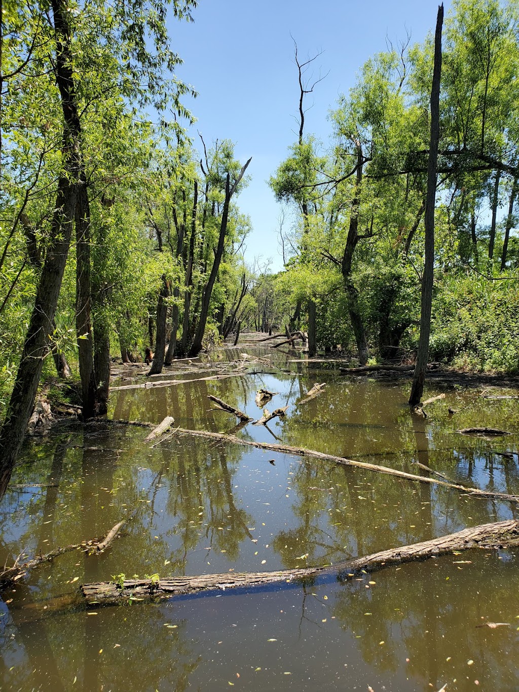 Palmyra Cove Nature Park | 1335 NJ-73, Palmyra, NJ 08065 | Phone: (856) 829-1900 ext. 1264