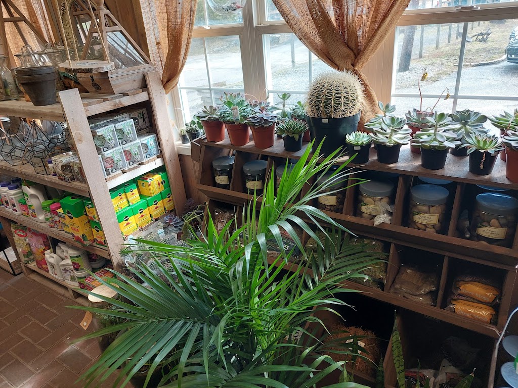 Groffs Nursery | 1350 Delsea Dr, Pitman, NJ 08071 | Phone: (856) 589-9600