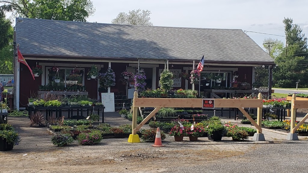 Cardiles Flower and Produce Mkt | 246 Meetinghouse Rd, Upper Chichester, PA 19014 | Phone: (610) 485-6203