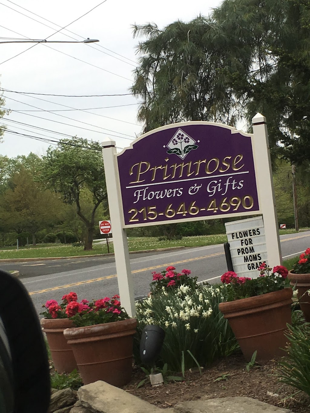 Primrose Extraordinary Flowers | 1525 Limekiln Pike, Dresher, PA 19025 | Phone: (215) 646-4690