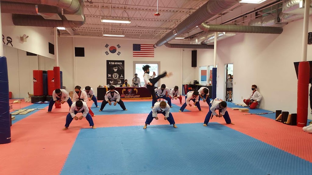 The Sky Martial Arts Taekwondo | 1200 Welsh Rd Suite K, North Wales, PA 19454 | Phone: (267) 222-8807