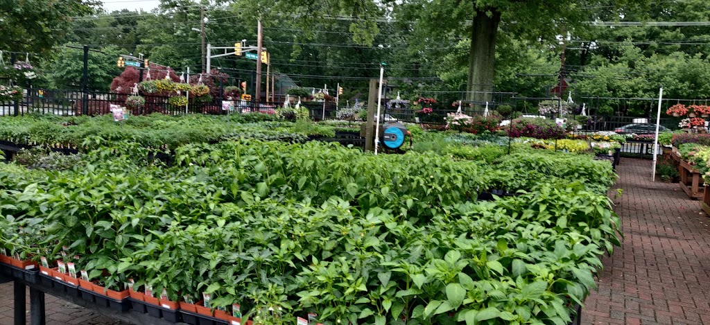 Bloomers Home & Garden Center | 344 Hurffville - Cross Keys Rd, Sewell, NJ 08080 | Phone: (856) 874-8730