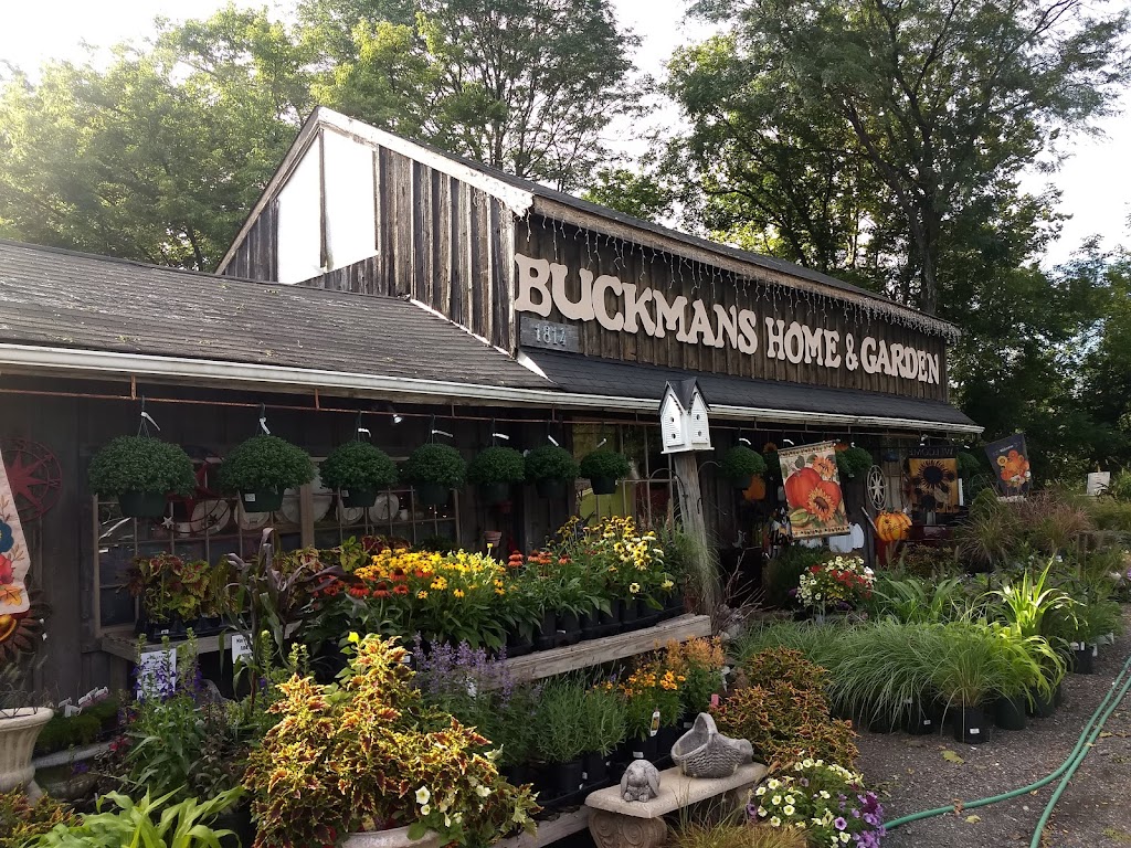 Buckmans Home & Garden | 1814 S Easton Rd, Doylestown, PA 18901 | Phone: (215) 348-0877