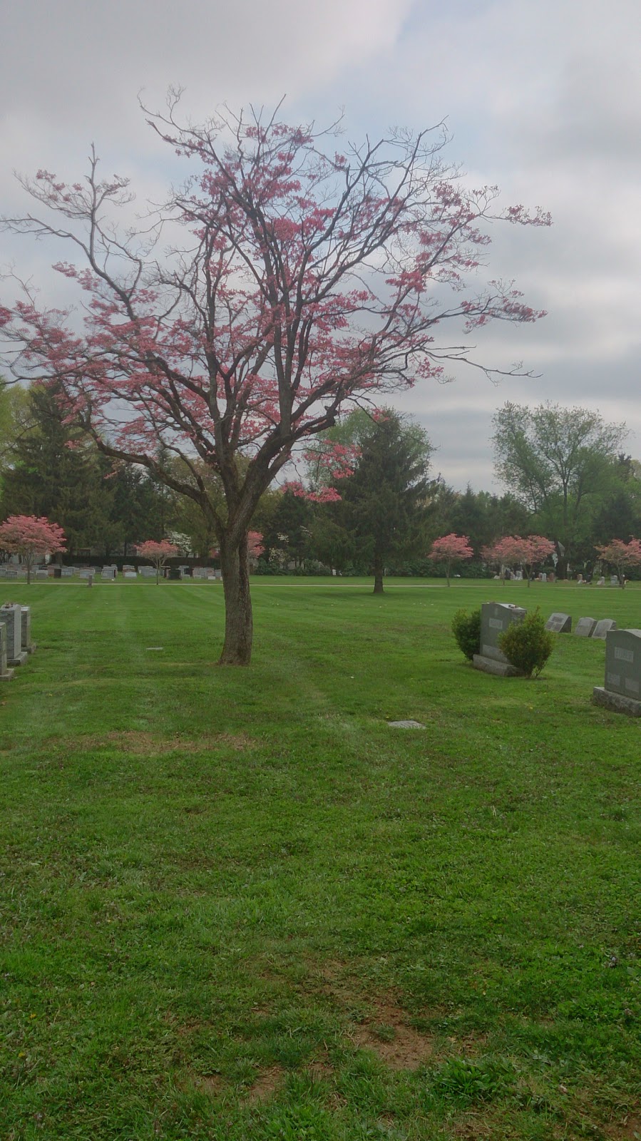 Ewing Cemetery | 78 Scotch Rd, Ewing Township, NJ 08628 | Phone: (609) 882-0279