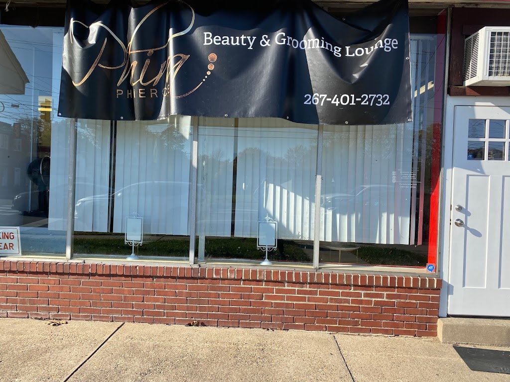 Phira Phierce Beauty & Grooming Lounge LLC | 2 N Chester Pike Store #2, Glenolden, PA 19036 | Phone: (267) 401-2732