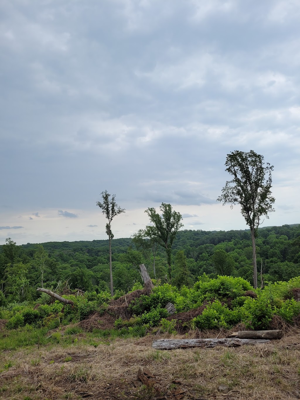 Ridley Creek State Park Entrance | 339 Gradyville Rd, Glen Mills, PA 19342 | Phone: (610) 892-3900