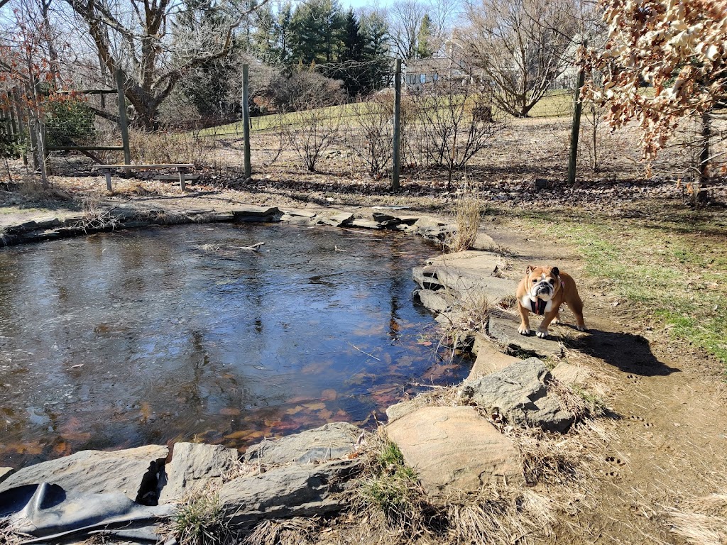 Riverbend Environmental Education Center | 1950 Spring Mill Rd, Gladwyne, PA 19035 | Phone: (610) 527-5234