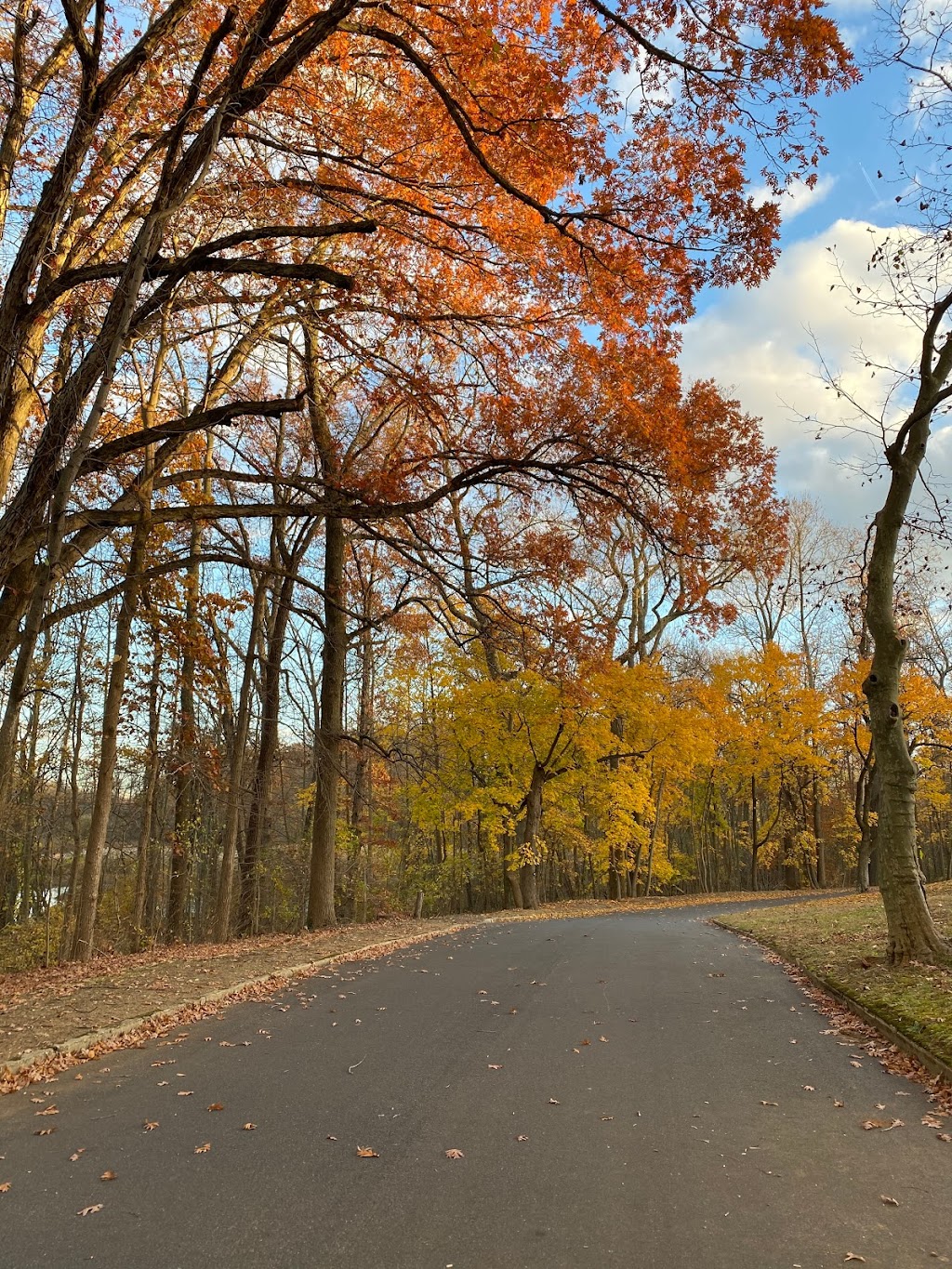 Wenonah Cemetery | 390 Wenonah Ave, Mantua Township, NJ 08051 | Phone: (856) 292-3855