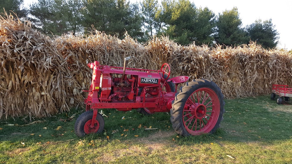 Way Land Stables | 1347 Michael Way, Lansdale, PA 19446 | Phone: (873) 830-9387