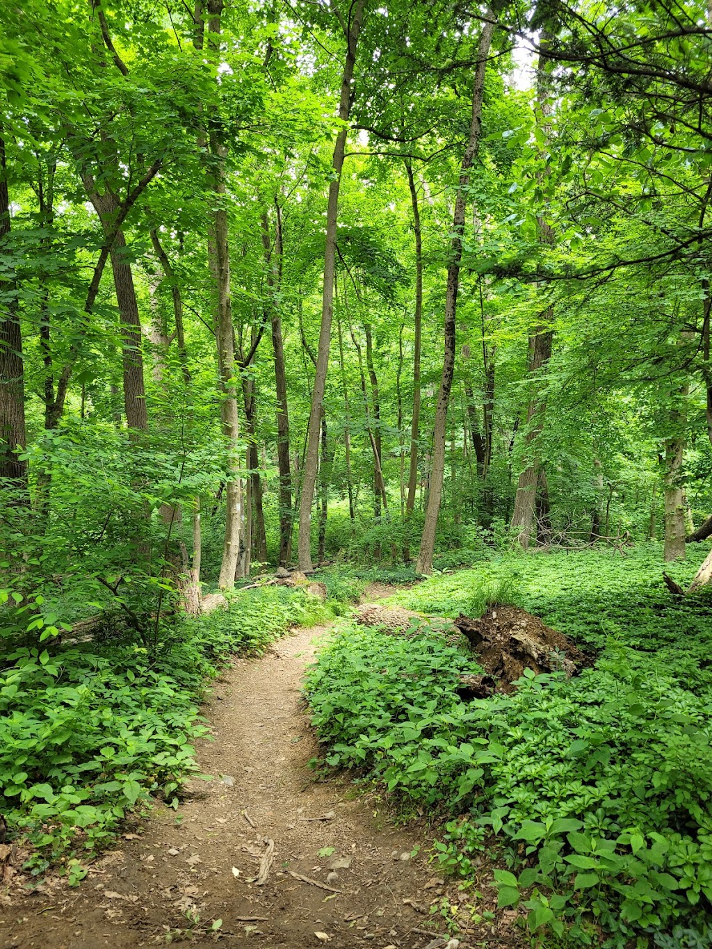 Natural Lands Saunders Woods Preserve | 1020 Waverly Rd, Gladwyne, PA 19035 | Phone: (610) 353-5587