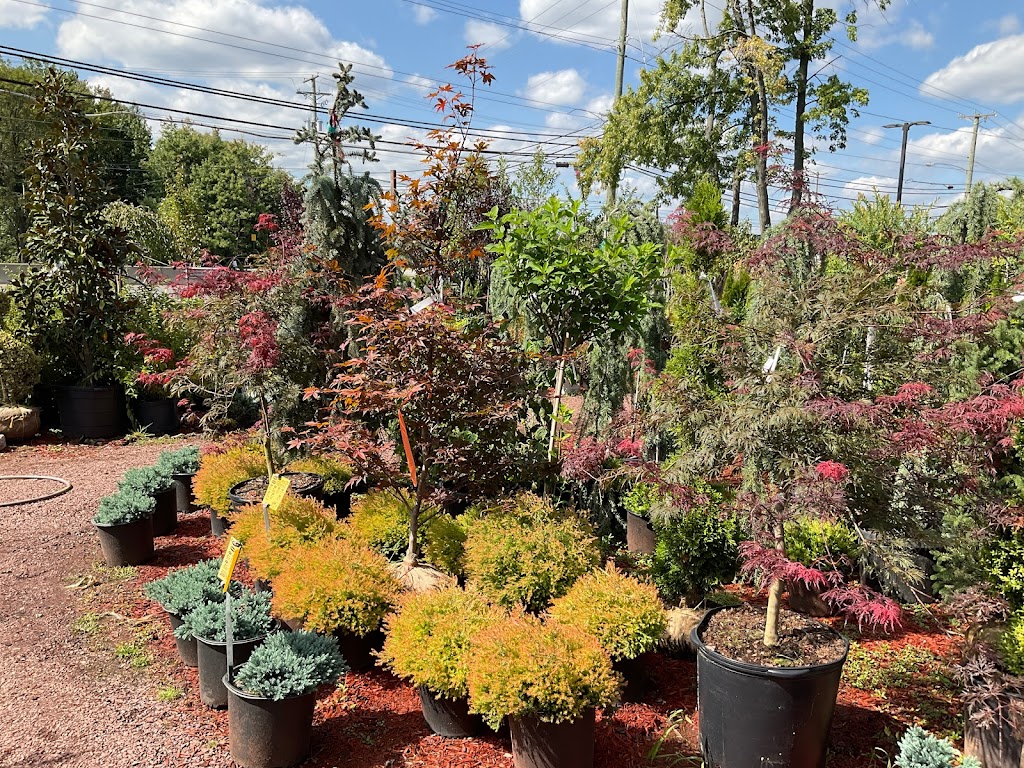 Circle Garden Center | 145 NJ-73, West Berlin, NJ 08091 | Phone: (856) 753-1094