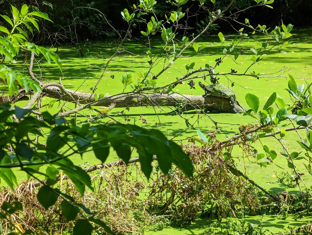 Robbins Park Environmental Education Center | 1419 E Butler Pike, Ambler, PA 19002 | Phone: (215) 641-0921