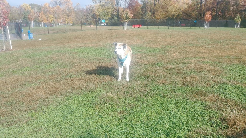 Lower Makefield Township Dog Park | 1950 Covington Rd, Yardley, PA 19067 | Phone: (267) 274-1102