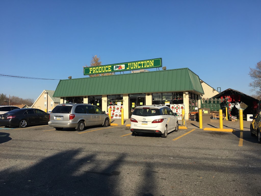 Produce Junction | 2635 Chichester Ave, Upper Chichester Township, PA 19061 | Phone: (610) 497-3075