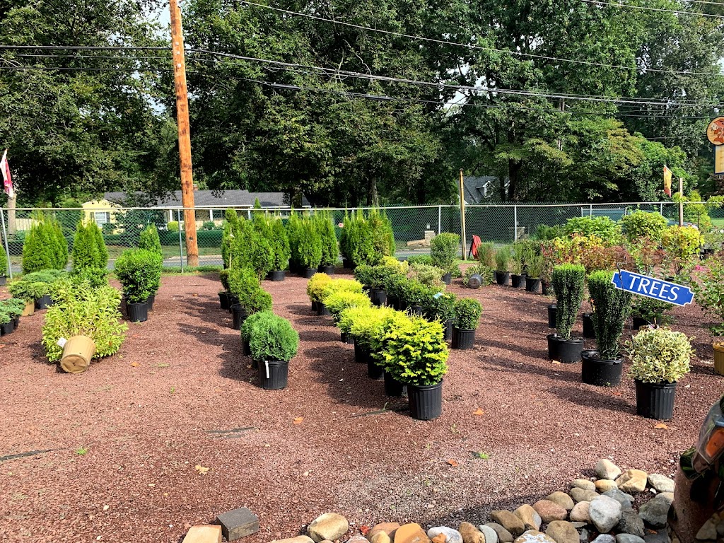 The Garden Center & Pond Supplies | 355 Center St, Sewell, NJ 08080 | Phone: (856) 468-8241