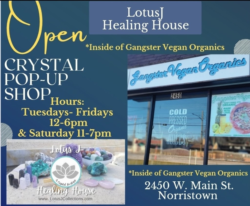 Lotus J Healing House | Inside of Gangster Vegan Organics, 2450 W Main St, Eagleville, PA 19403 | Phone: (484) 235-3272