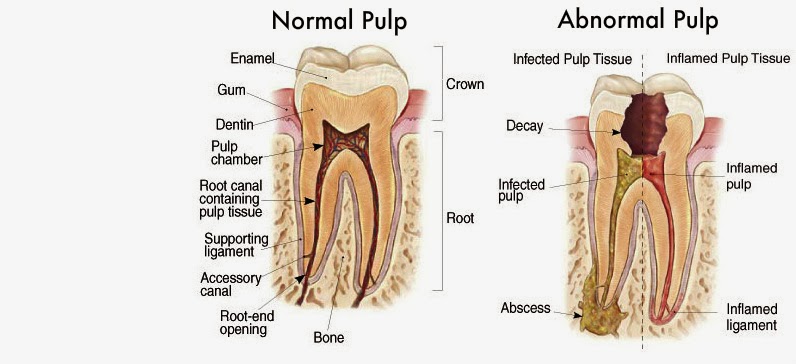 Dr. Anna K. Park, D.M.D., LLC | 50 N Main St, Mullica Hill, NJ 08062 | Phone: (856) 478-9500