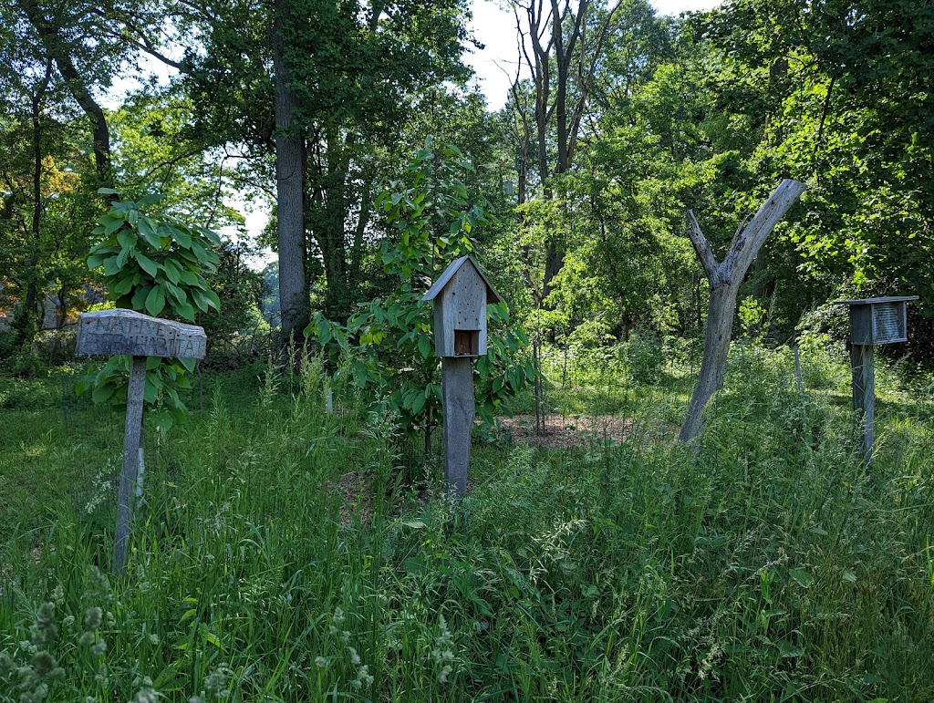 Natural Lands Saunders Woods Preserve | 1020 Waverly Rd, Gladwyne, PA 19035 | Phone: (610) 353-5587