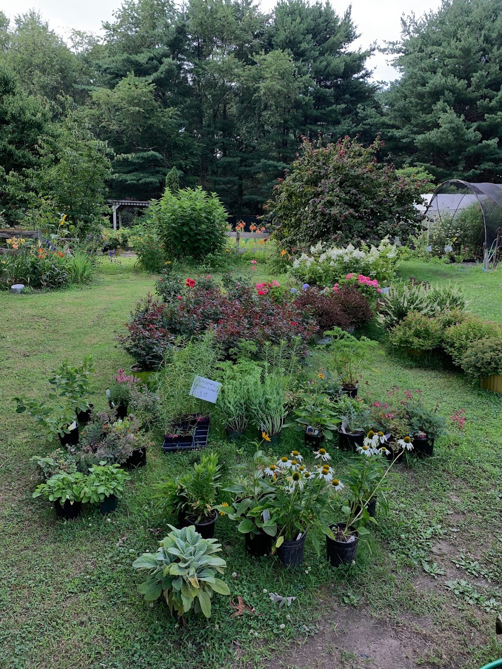 Windy Top Nursery | 240 Harrisonville Rd, Mullica Hill, NJ 08062 | Phone: (856) 478-2127