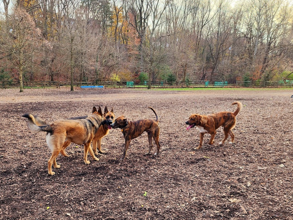 Curtis Dog Park | Unnamed Road, 1250 Church Rd, Wyncote, PA 19095 | Phone: (215) 887-6200 ext. 227